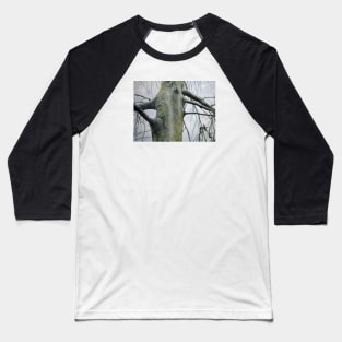 Lovetree Baseball T-Shirt